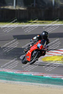 media/Mar-17-2024-Fastrack Riders (Sun) [[c7d6f8c14c]]/Level 2/Turn 6/